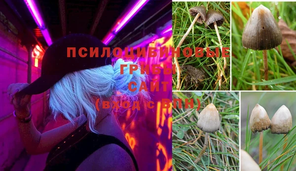 метадон Белокуриха
