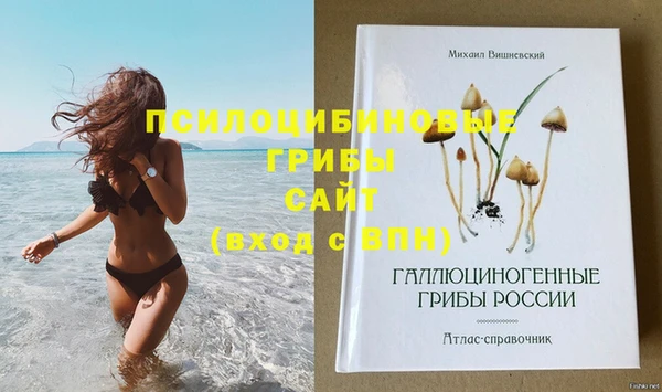 метадон Белокуриха