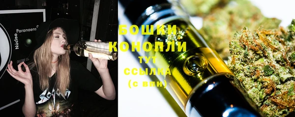 метадон Белокуриха